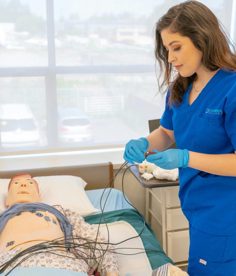 pexels-sahilcaptures-35645513